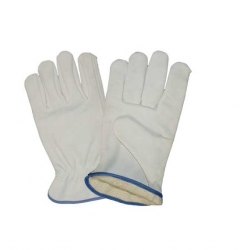 Driving Gloves (Lined )